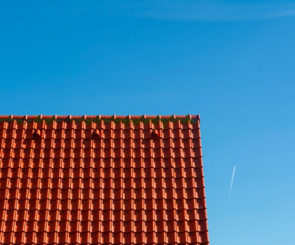 Dane o ugięciach dachu płaskiego – dlaczego są ważne dla bezpieczeństwa obiektu?
